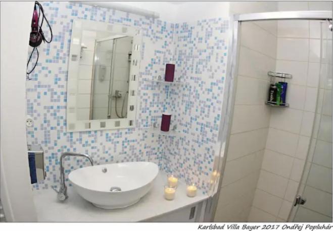 Apartman Vila Bayer كارلوفي فاري المظهر الخارجي الصورة