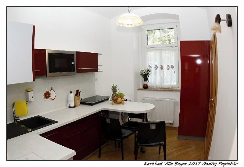 Apartman Vila Bayer كارلوفي فاري المظهر الخارجي الصورة
