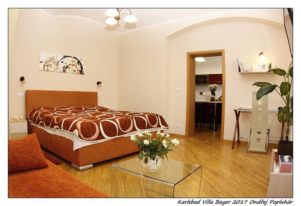 Apartman Vila Bayer كارلوفي فاري المظهر الخارجي الصورة